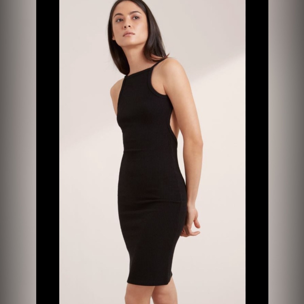 Aritzia Community Hartmann Dress